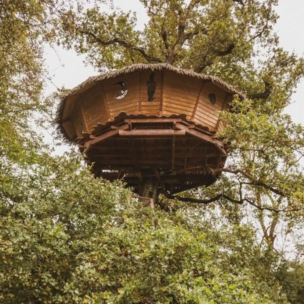 Appartement Rosoy en Multien